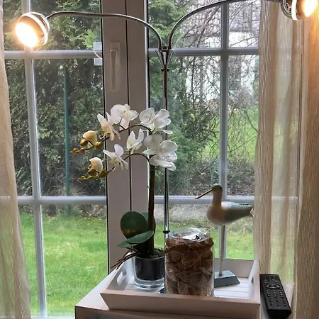 Nele 02 Appartement Zingst
